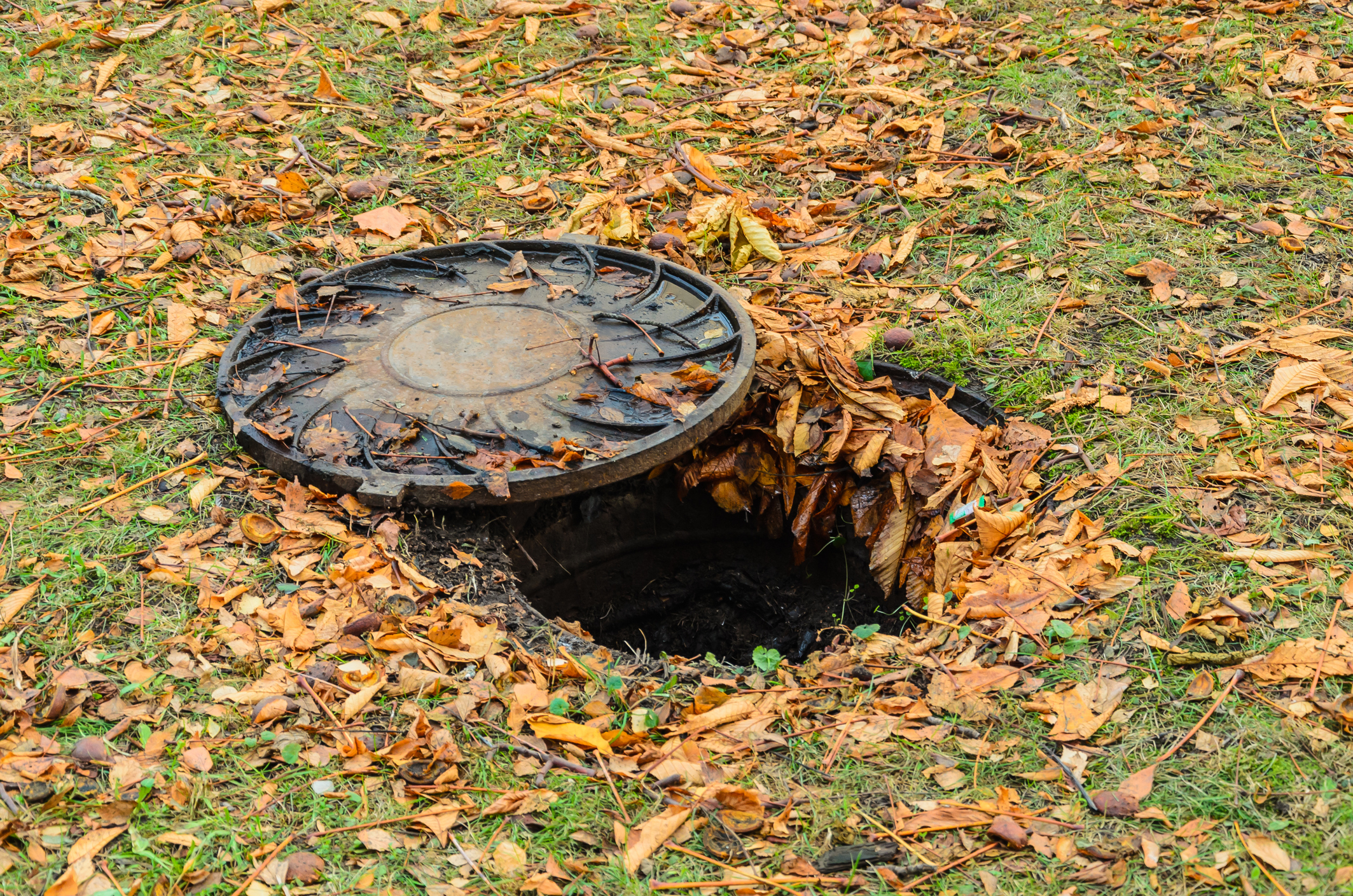 Septic Tank Pumping in Eugene: What to Expect from Local Professionals This Fall