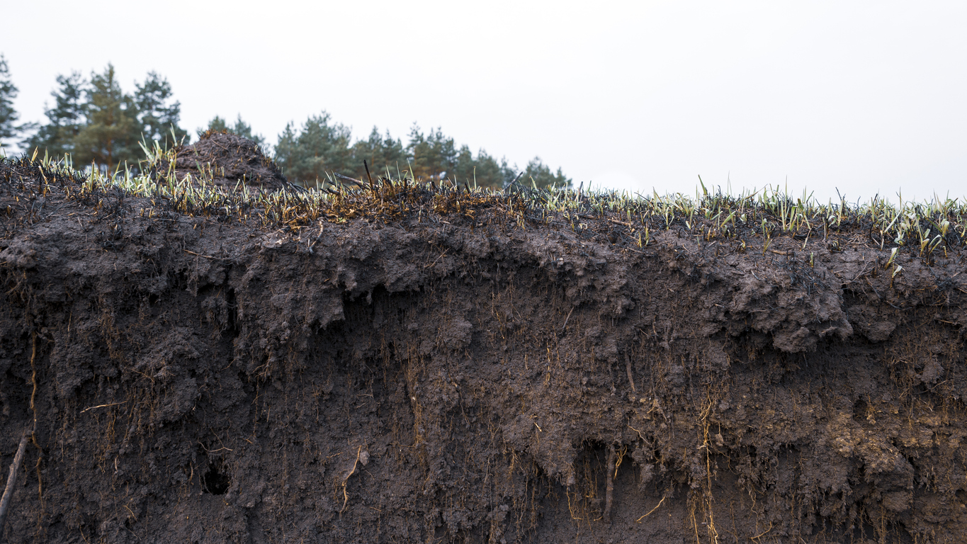 Hole dug in the earth showing soil type