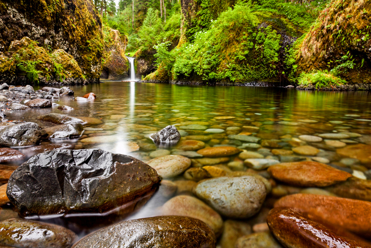 A river bed with smooth rocks at the bottom