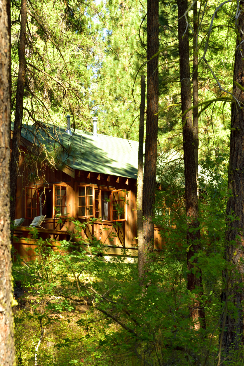 Tourist cabin in Lane County Oregon
