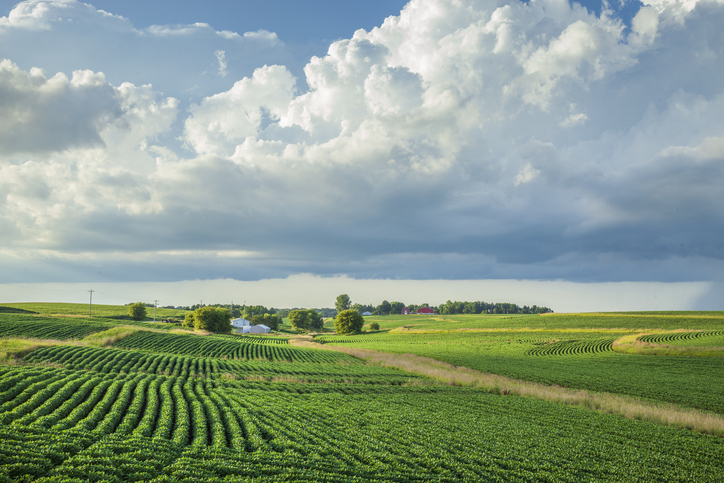 A green farm