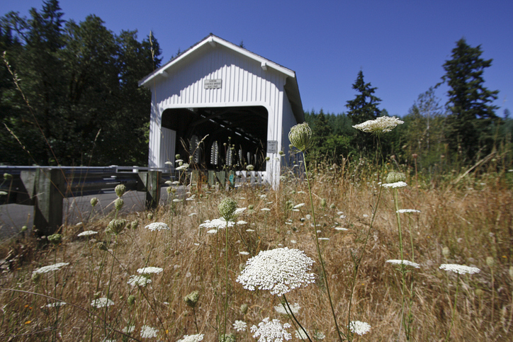Rural home with a septic system on a residential property