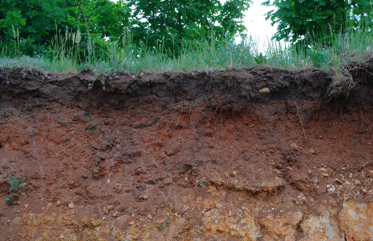 Dirt and grass
