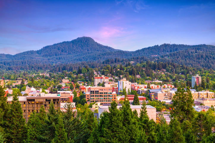 Beautiful city surrounded by a forest