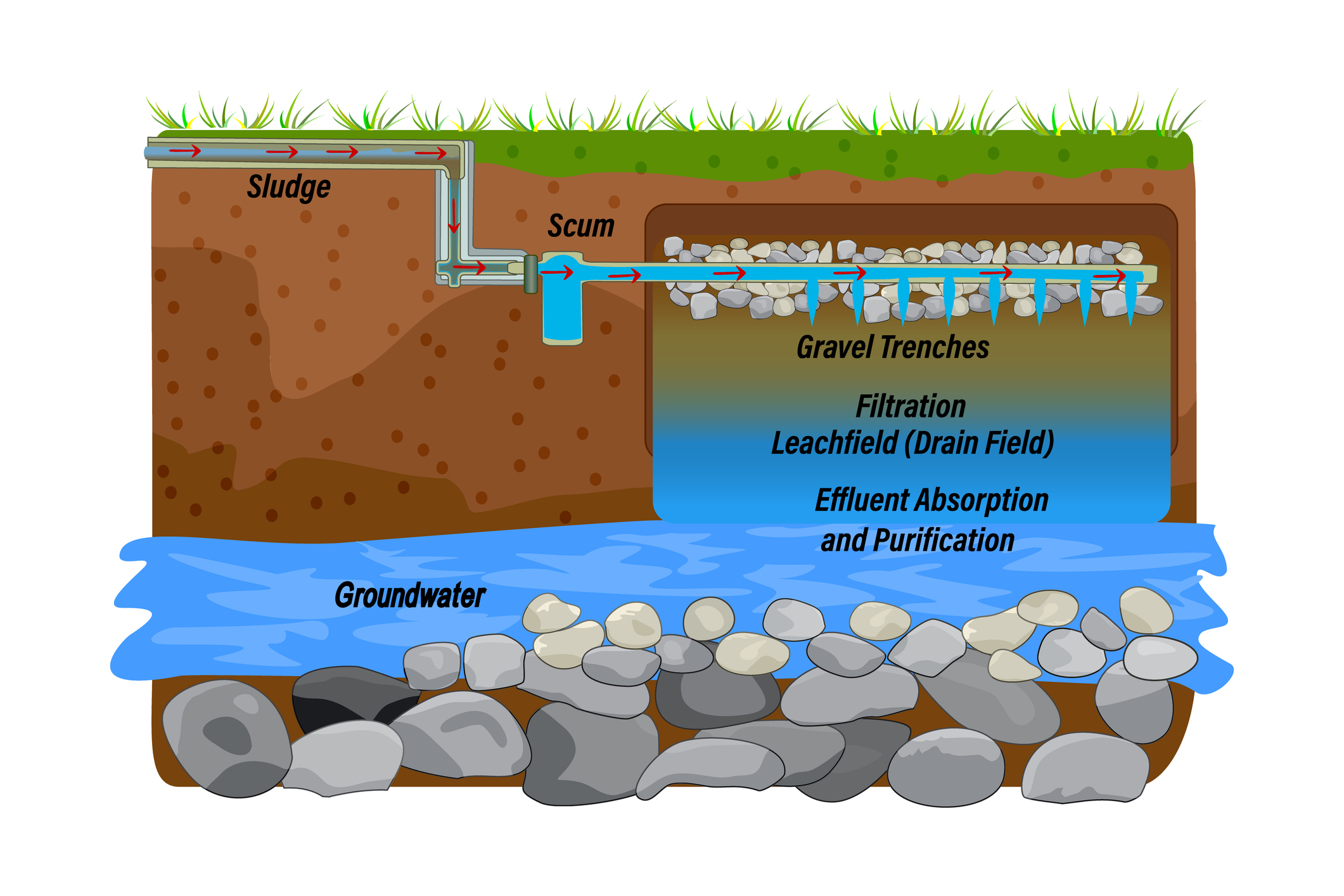 Septic Pumping vs. Septic Cleaning — What’s the Real Difference?
